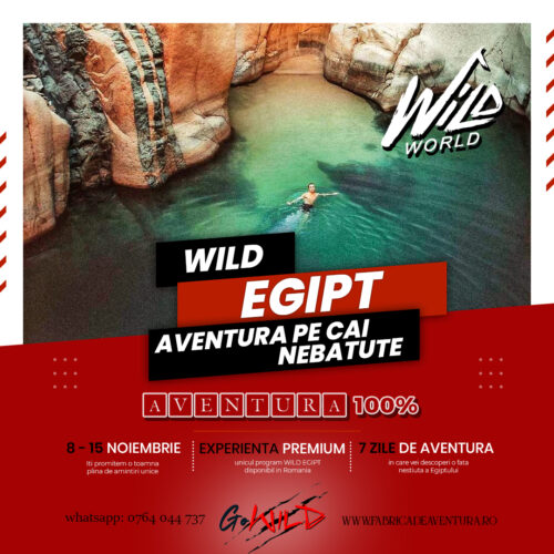 wild_egipt copy