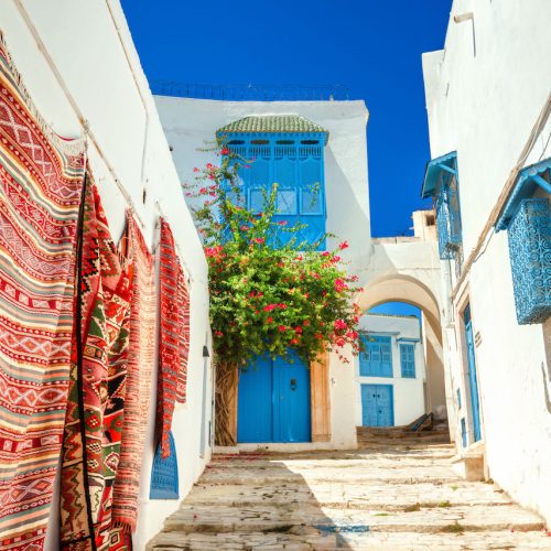 Sidi-Bou-Said-street-in-white-blue-town-1200x854