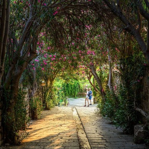 the-green-tunnel-byblos-lebanon-best-place-to-t-7-8-2017-10-20-44-pm-l