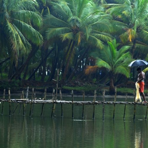 backwater-kerala-photos