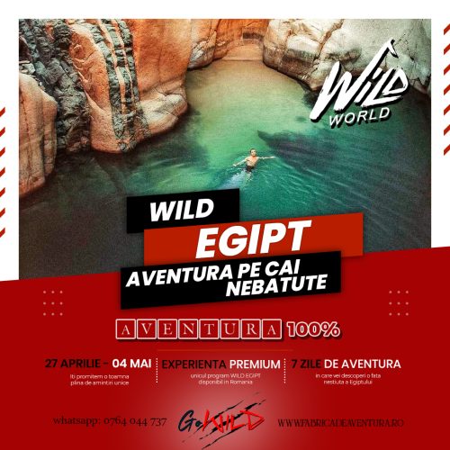 wild_egipt copy